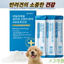 펫생각 강아지 고양이 면역 4세대 유산균 장건강 애견들 설사할때, 3개월