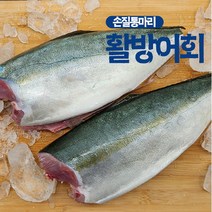 [씨쿡] 활방어회 손질 통마리 700g내외 / 소스증정, 상세 설명 참조
