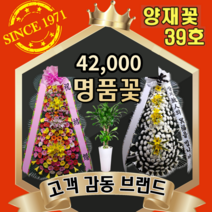 양재꽃39호 근조 장례식조화 결혼식 축하 3단화환 개업화분 인테리어 이사 공기정화식물 생일 어버이날 스승의날 꽃바구니 기념일 꽃다발 승진난 동양난 서양난 전국당일배송 꽃배달싼곳, [꽃바구니] 02 봄날(도시지역 한정)