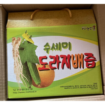 개미농법 진한 수세미 도라지배즙 100ml x 60포, 1박스