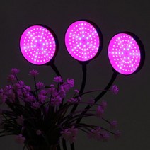 쑥쑥 광합성 LED 식물등(3헤드) (블루 레드 퍼플), 상세페이지 참조