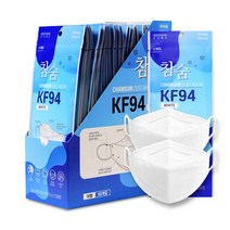 참숨 KF94 황사방역 미세먼지차단 식약처허가 숨쉬기편한 일회용 국산비말차단마스크 50매, 대형-50매