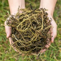 국산 쇠비름 (마치현) 200g 차 건 건조 말린 약초 한약재, 1854_국산 쇠비름(마치현) 200g, 1854_국산 쇠비름(마치현) 200g