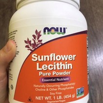 나우푸드 썬플라워 레시틴 lecithin 분말 한개, 1개