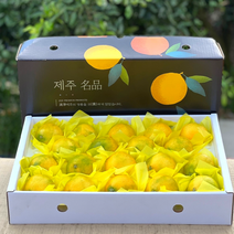 황금향 명절 추석 선물 선물세트, 제주황금향_선물용_3kg대과(6|9과내외)