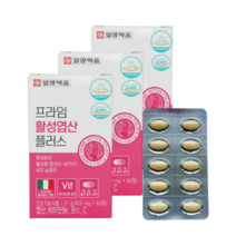 프라임 활성엽산 플러스 60정 특허받은 프리미엄엽산 태아건강 임산부 가임기 수유부 비타민함유 철분흡수 세포형성, 3개