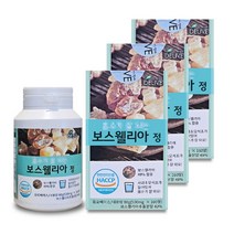 델리브 보스웰리아정 사과초모식초 500mgx160알