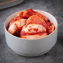 [땅끝홈밀]HACCP 해남직배송 양파김치 3kg, 단품