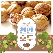 천안호두세트1.5