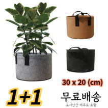 배란다 미니화분 대파키우기 (30 * 20cn), 그레이, 브라운