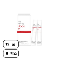 리얼 L 아르기닌 5000 20g 15포 l아르기닌 엘아르기닌 복용법 효능, 6개