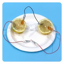 SA 안전 집게전선 과일전지 (LED형)(1인용 포장)
