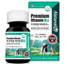 네추럴lize 프리미엄 비타민 b12 90정 메틸 코발라민 고함량 비타민비 영양제 추천, 6개, 3개월(90정)