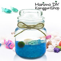 마리모 키우기 고래스몰자 세트/어항 세트 수경식물