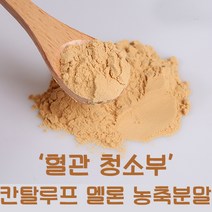 칸탈루프 멜론 추출 분말 파우더 가루 500g 칸탈로프 주스 쥬스 차 혈관 건강 메론, 2팩