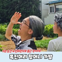 쪽진머리 할머니 가발, 상세페이지 참조, 상세페이지 참조, 상세페이지 참조