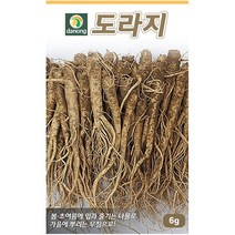 곤드레 100립 - 씨 씨앗 곤드레씨앗 곤드레씨 나물씨 나물씨앗 민속채소 채소씨 채소씨앗 고려엉겅퀴, 05_다농_도라지(6g)