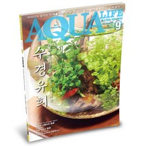 아쿠아라이프 2023년 9월호 _ 수경유희