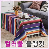 브리지베리 컬러풀 캠핑담요