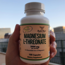 더블우드 트레온산 마그네슘 마그테인 2000mg 100정, 100캡슐, 1