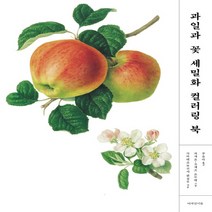 새책-스테이책터 [과일과 꽃 세밀화 컬러링 북] -가와데쇼보신사 편집팀 지음 피에르 조제프 르두테 그림 부윤아 옮김, 과일과 꽃 세밀화 컬러링 북