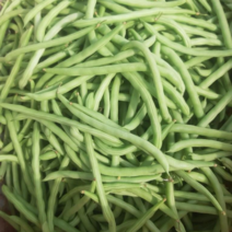 국내산 생그린빈스 롱빈 스트링빈 껌질콩 국내재배 그린빈 당일발송합니다, 1kg, 1개