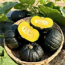 [엄지척농산물] 맛보장! 포슬포슬 국내산 단호박 밤호박, 못난이 3kg(2~4과내외), 1개