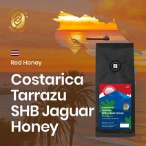 비비컴플렉스 갓볶은 맛있는 스페셜티원두 코스타리카 따라주 SHB 재규어 허니 1kg, 에스프레소