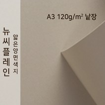 뉴씨플레인 종이문화 얇은 양면색지 120g A3 낱장 1매 No.55 밍크색, 1장