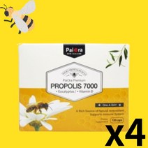 프로폴리스 뉴질랜드 파이오라 propolis 유칼립투스 플라보노이드 함유, 120정, 4통
