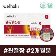 웰녹 관절짱 MSN MSM 효능 무릎연골에좋은영양제 식이유황 식용유황 엠에스엠 관절건강, 620mg x 2정 x 120포(1박스)