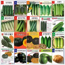 오이 여주 호박 씨앗 모음, A-호동청장 오이 씨앗 500립, 1개