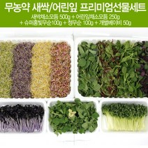 무농약 새싹/어린잎 프리미엄선물세트 1kg (새싹500g 어린잎250g 슈퍼홍빛무순100g 청무순100g 개별베이비50g) / 파릇파, 상세페이지 참조