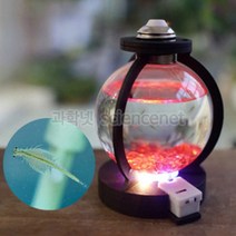 유비 씨몽키 수족관 만들기(2세트) 993297, 단품