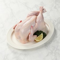 [닭1마리] 폐계닭 신선육 노계닭(생닭) 산란닭 1~10마리 (1.5kg내외), 1마리