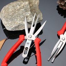 전정가위 감 따는 가위 양측날가위 꽃 솎아내기 두날 원예 양날가위 과수원용 석류꽃 해바라기 한라봉꽃 배꽂 블루베리꽃 천혜향꽃
