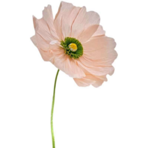 자이언트플라워 직경 50cm 실크 포토월 꽃장식 결혼식장 포토존 장식꽃 페이퍼 웨딩 데코, 오렌지