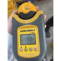 탐라인 신품종 설국향 수라향 신비향 아스미 아스키 상품, 1box, 10kg