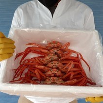 포항 구룡포홍게 연지홍게 자숙홍게 3kg, 정품 연지홍게 3kg_12마리