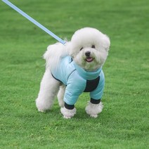 강아지 명품 발열패딩 하네스일체형 입히기쉬운 롱 이지웨어 겨울산책 방수 방한복 삼삼, 스카이블루
