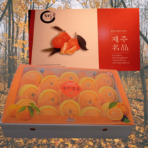 제주 레드향 선물용 특상품 5kg 3kg 가정용, 가정용 천혜향 3kg (13과 내외), 1개