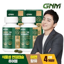 [총 4개월분] GNM 브라질 그린 프로폴리스 120캡슐 x 2병 / 아연 츄어블