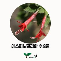 허브애향 에스피노질리아추출물 천연재료 50ml 기타재료