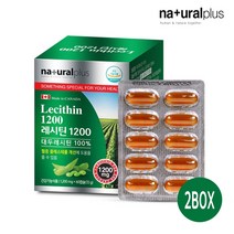 식약처 대두 레시틴 포스파티딜 콜린 식물성 인지질 LDL HDL 혈중지방 lecithin 레시친 효능 추천 캐나다, 2box, 60캡슐