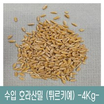 [다온농산] 수입 호라산밀 -4Kg- 품질 좋고 저렴한 튀르키예산, 1개