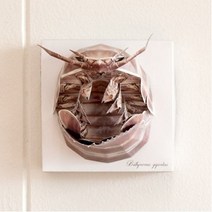 JYW59B4A6 크래프트 액자 홈테코 걸이 페어퍼커팅아트 DIY 페이퍼 스타일의 장식 쉬운 공간 벽 조형 조립 페이퍼아트 만들기 종이 폴라곤 다양한 작품 품 고퀄리티 꾸미기 공예 인테리어 퍼즐액세서리
