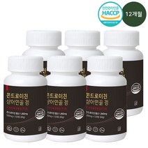 식약처인증 콘드로이친 상어 연골 뼈 관절 건강 초록입홍합 보스웰리아 추가 부모님 선물 추천, 콘드로이친 6개 (12개월)