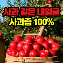 네츄럴샵 명품 사과즙 아기 사과주스 100% 여름음료 50포 100포, 1개, 50개입