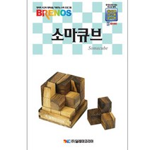 소마큐브(고급교재)