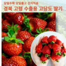 고당도 설향 딸기 경북 고령 수출품 킹스베리 고급딸기 과일선물 임산부 딸기 가정용 선물용, 1팩 800g내외 35구 내외